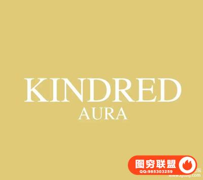 KINDRED亲情系列明亮通透婚礼人像LR预设 KINDRED Aura lightroom
