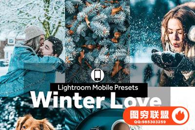 冬季之恋人像后期LR预设/移动APP预设Lightroom Presets Winter Love