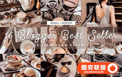 INS人像产品摄影LR预设/APP滤镜16 Blogger Best Seller Presets