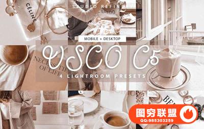 INS人像VSCO C5系列Lightroom预设/移动APP预设 VSCO C5 Lightroom Presets