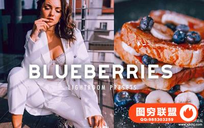 INS蓝莓之夜人像Lightroom预设/APP预设 BLUEBERRIES LIGHTROOM PRESETS