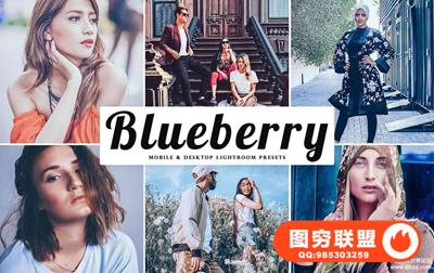 INS流行蓝莓色调人像LR预设/移动APP预设 Blueberry Lightroom Presets