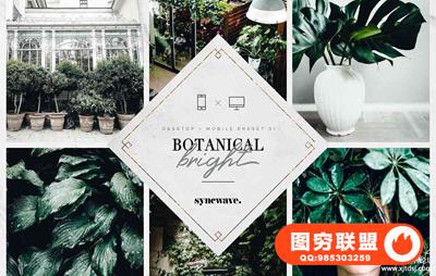 清新植物静物胶片LR预设/移动APP预设 Botanical Lightroom Presets