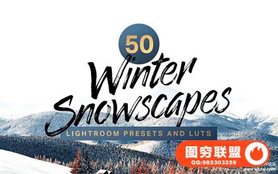 冬季旅拍风景人像LR预设LUT预设包 Winter Lightroom Presets and LUTs
