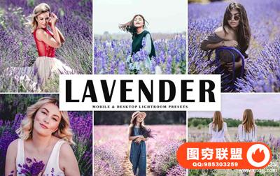 薰衣草旅拍人像LR预设/移动APP预设Lavender Lightroom Presets