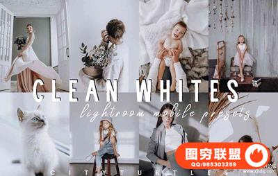 莫兰迪灰白色系LR预设/移动APP预设 CLEAN WHITES lightroom presets