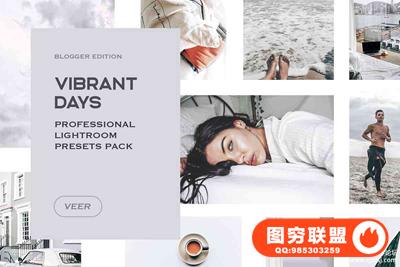 简约轻奢灰色调LR预设/APP预设 Vibrant Lightroom Presets Mobile