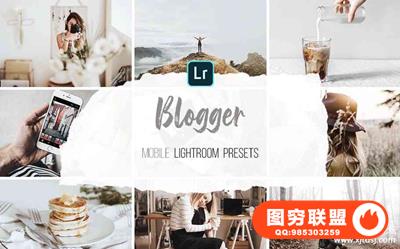 INS网红博客干净灰调手机版LR胶片 Mobile Lightroom Presets-Blogger