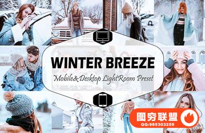 冬季通透明亮人像Lightroom预设+移动APP预设 Winter Breeze Lightroom