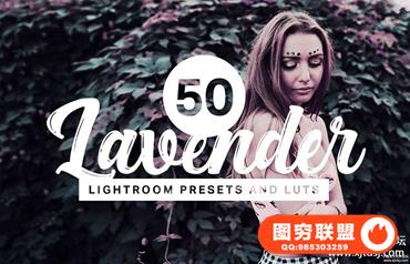 薰衣草紫色调人像LR预设+LUT预设 Lavender Lightroom Presets and LUTs