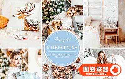 INS博客圣诞色调LR预设/移动APP预设Christmas Blogger Lightroom presets