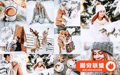 冬季仙境通透明亮LR预设+手机版APP预设WINTER WONDERLAND LIGHTROOM