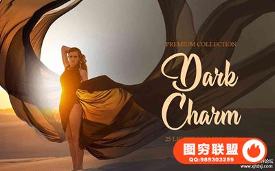 黑暗的魅力通透人像Lightroom预设 Dark Charm Presets for Lightroom