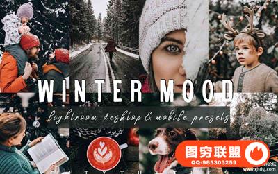 冬季假期人像LR预设+移动APP预设 Moody WINTER MOOD Lightroom Presets