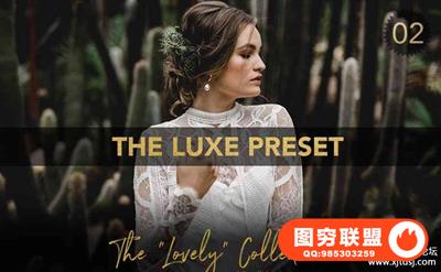 艺术婚礼人像Lightroom预设 FineArt Wedding Pro Lightroom Preset