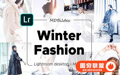 冬季时尚灰色调LR预设+APP预设 Lightroom Presets, Winter Fashion
