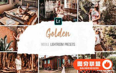 暖色电影胶片艺术人像手机版LR预设 Mobile Lightroom Presets -Golden