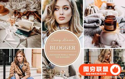 室内外人像摄影LR预设/APP预设Lightroom Mobile Presets Cozy Home