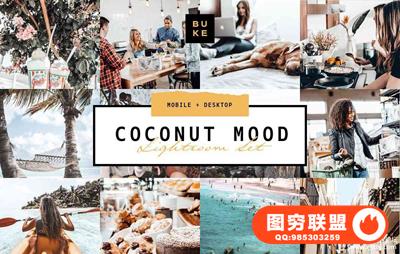 极简主义通透明亮LR预设/手机版LR预设Coconut Lightroom Presets Pack