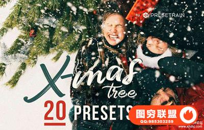 冬季人像Lightroom预设+移动APP预设 Christmas Tree - 20 Winter Presets