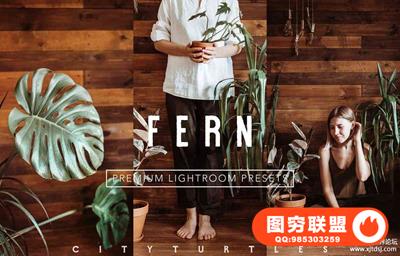 穆迪·费尔恩(Moody Fern)胶片LR预设Rich Warm FERN Lightroom Presets