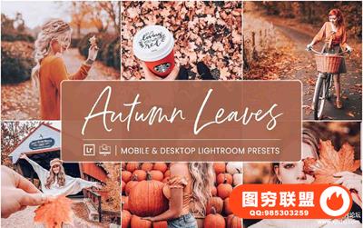 完美秋季人像风景LR预设+手机APP预设 Lightroom Presets Autumn Leaves