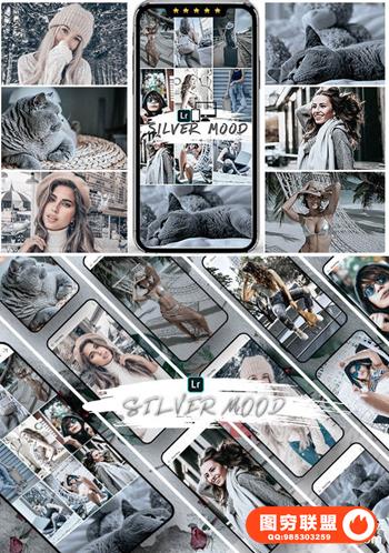 银灰色系旅拍人像LR预设+手机lr预设 Silver Mood Lightroom Presets