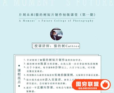 《猫的树》| 短片视频（微电影）拍摄制作初级