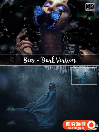 5K蝴蝶梦幻图形 5K Bees Overlays – Dark Version