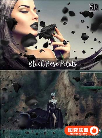5K高清黑玫瑰元素叠层背景素材 5K Black Rose Petals Overlays