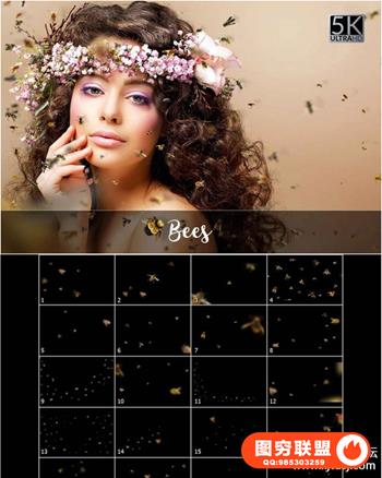 20张5K蜜蜂图案叠加素材 PNG图层样式叠加滤镜背景免抠设计素材