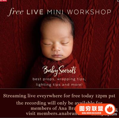 婴儿包装摄影秘密网络研讨会-- Ana Brandt