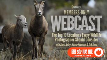 KelbyOne-拍摄野生动物摄影师应考虑的十大地点