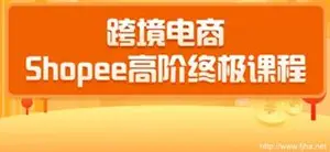千鸟跨境电商蓝海新机会-shopee高阶终极课程下载
