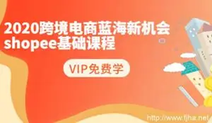千鸟跨境电商年跨境电商蓝海新机会-shopee基础视频课程（下载）