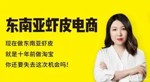 猫课东南亚虾皮电商[10年前的淘宝]（视频+学习资料）下载