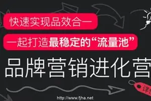 馒头商学院：品牌营销进化营，快速失效品效合一价值899元