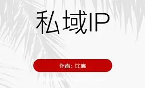 比高·私域IP引流变现