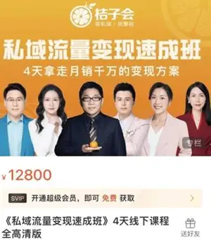 桔子会《私域流量变现速成班》