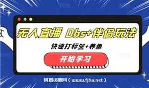宝子哥无人直播OBS+伴侣玩法+快速打标签+养鱼