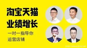 猫课：新版淘宝天猫业绩增长[强烈推荐]价值3980元