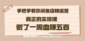 版《手把手教你闲鱼店铺运营》