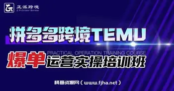 拼多多跨境TEMU爆单运营实操培训班-