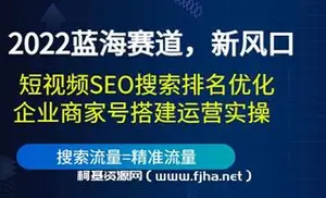 窦异-抖音seo搜索排名优化