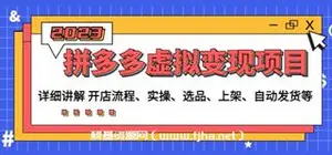 拼多多虚拟变现项目-网盘下载