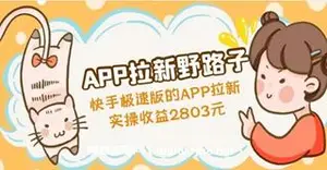 APP拉新野路子，快手拉新-网盘下载