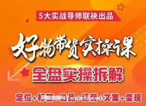 飞攀-抖音直播带货爆单运营-网盘高清下载