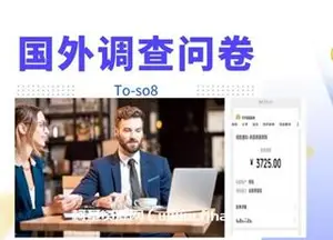 国外调查问卷赚美金项目-网盘下载