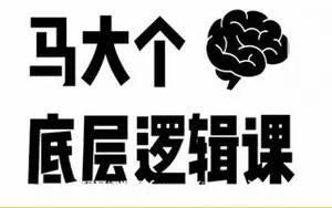 马大个·底层逻辑课