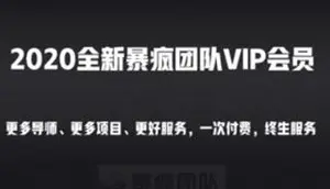 暴疯团队：网站截流项目-自动化快速长久赚钱价值999元